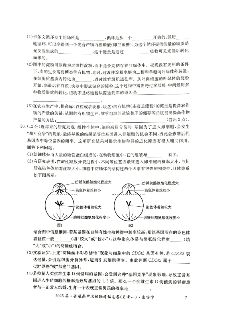 湖南省娄底市名校联考11月信息卷（月考一）生物_2024-2025高三（6-6月题库）_2024年11月试卷_1113湖南省娄底市名校联考2024-2025学年高三上学期月考（一）（全科）
