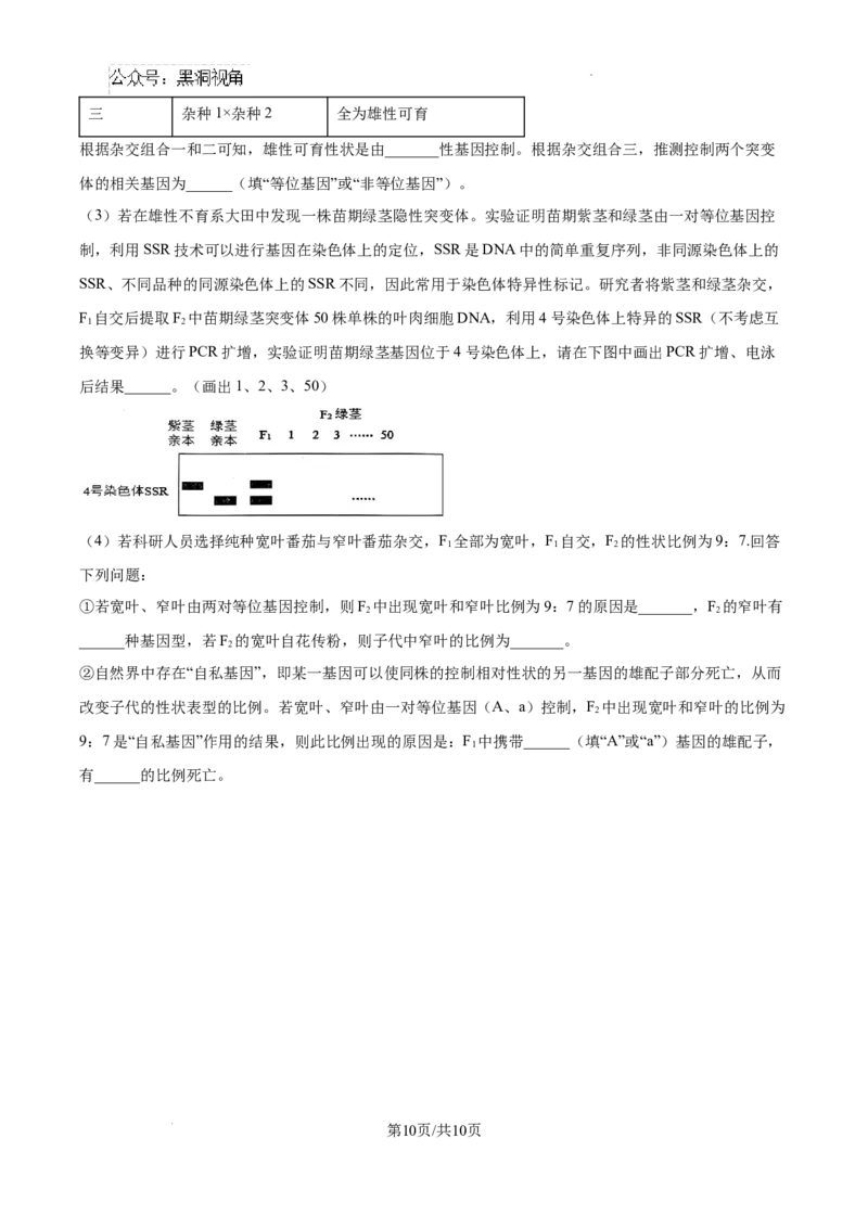 辽宁省大连市滨城高中联盟2024-2025学年高三上学期期中考试生物_2024-2025高三（6-6月题库）_2024年10月试卷_1023辽宁省大连市滨城高中联盟2024-2025学年高三上学期期中考试