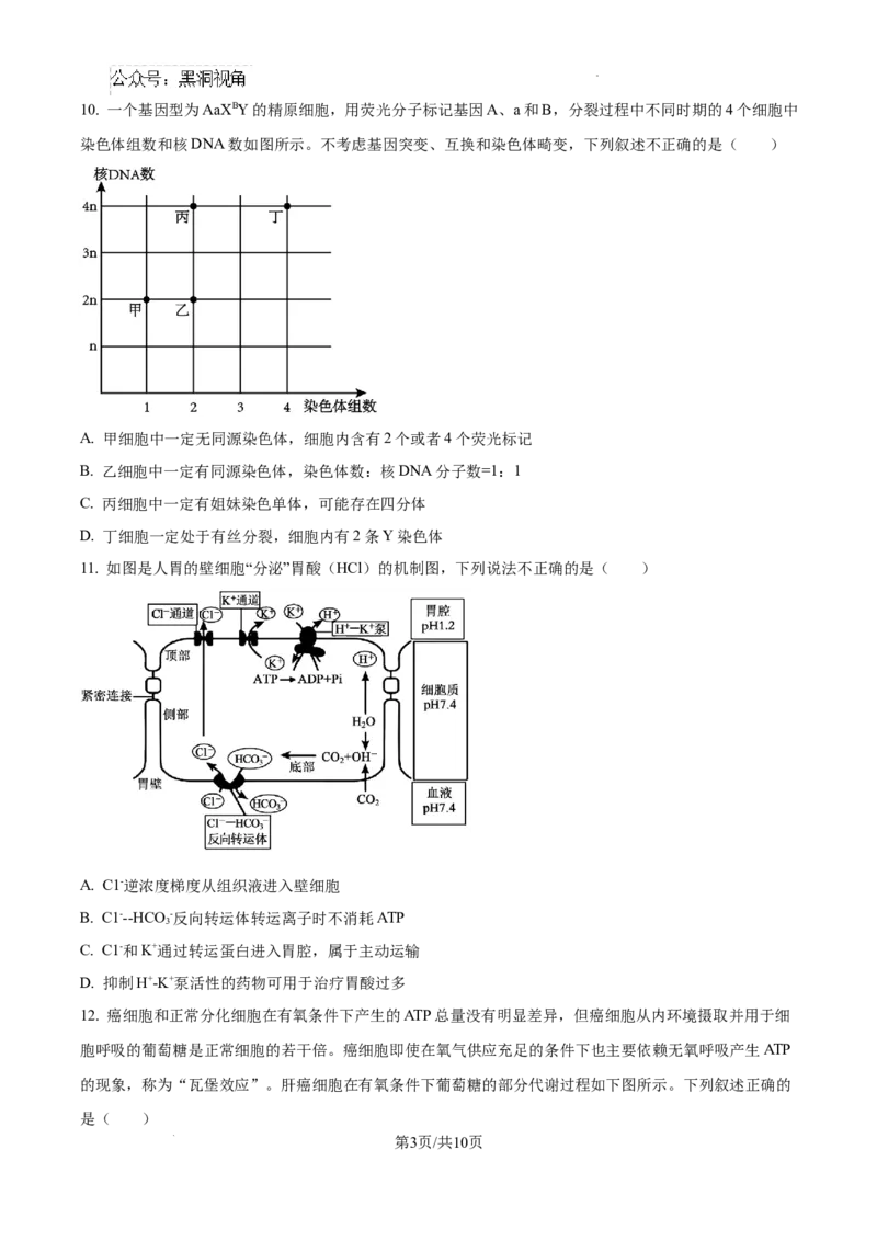 辽宁省大连市滨城高中联盟2024-2025学年高三上学期期中考试生物_2024-2025高三（6-6月题库）_2024年10月试卷_1023辽宁省大连市滨城高中联盟2024-2025学年高三上学期期中考试