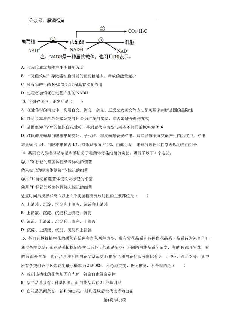 辽宁省大连市滨城高中联盟2024-2025学年高三上学期期中考试生物_2024-2025高三（6-6月题库）_2024年10月试卷_1023辽宁省大连市滨城高中联盟2024-2025学年高三上学期期中考试