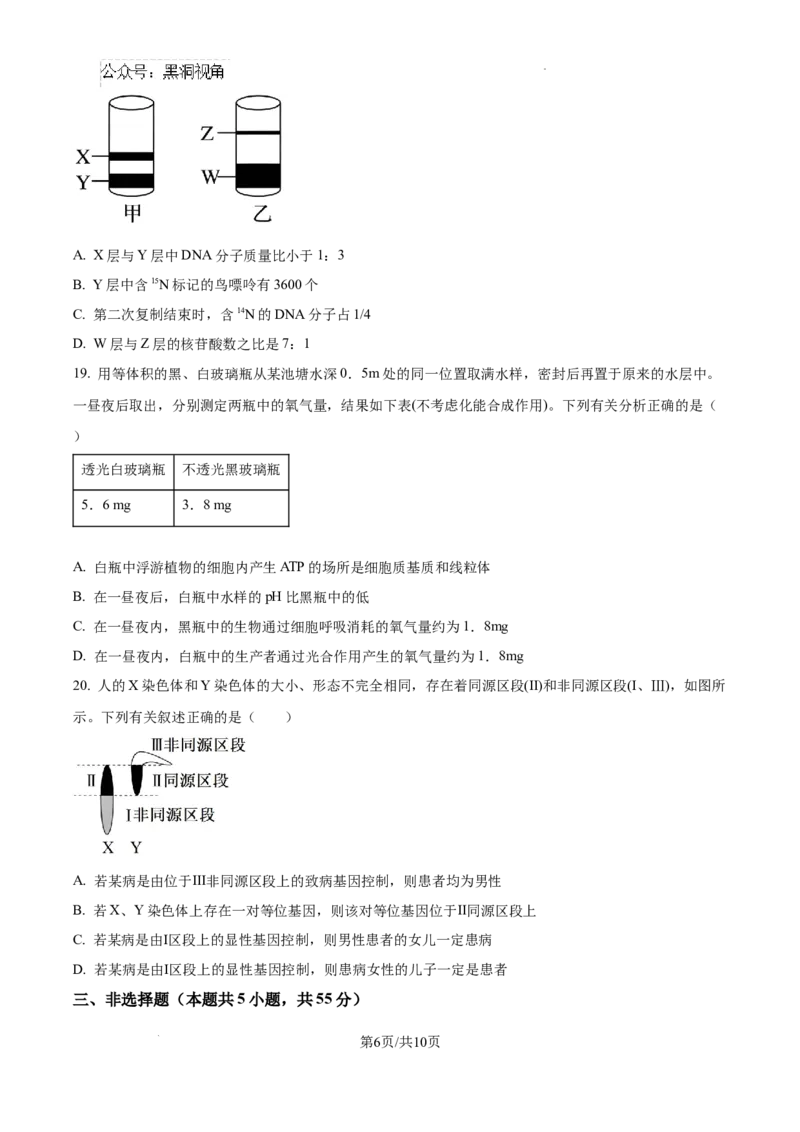 辽宁省大连市滨城高中联盟2024-2025学年高三上学期期中考试生物_2024-2025高三（6-6月题库）_2024年10月试卷_1023辽宁省大连市滨城高中联盟2024-2025学年高三上学期期中考试