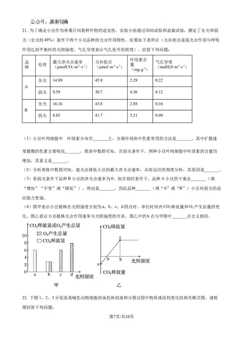 辽宁省大连市滨城高中联盟2024-2025学年高三上学期期中考试生物_2024-2025高三（6-6月题库）_2024年10月试卷_1023辽宁省大连市滨城高中联盟2024-2025学年高三上学期期中考试