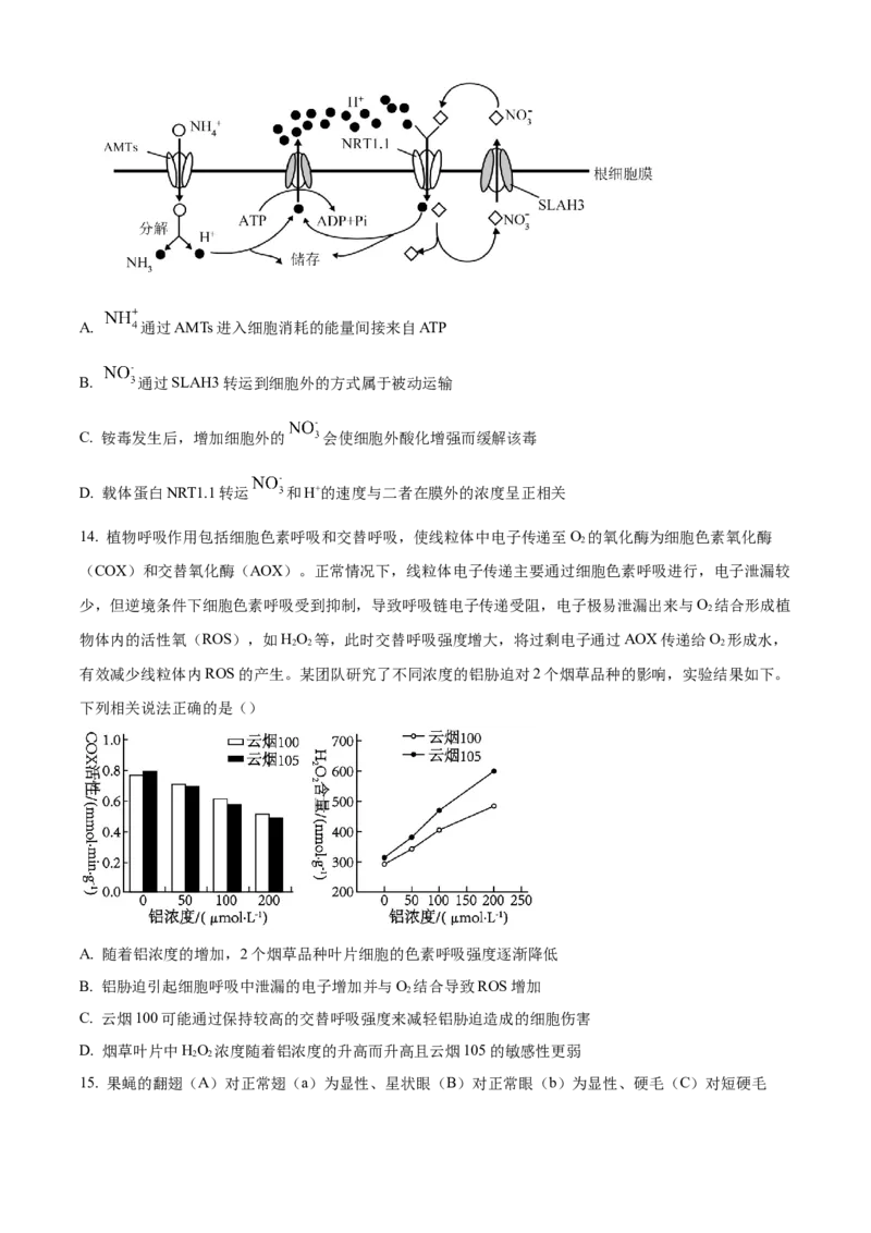 湖南省长沙市第一中学2024-2025学年高三上学期第三次月考生物试卷Word版无答案_2024-2025高三（6-6月题库）_2024年11月试卷_1117湖南省长沙市长沙一中2025届高三月考试卷（三）（全科）