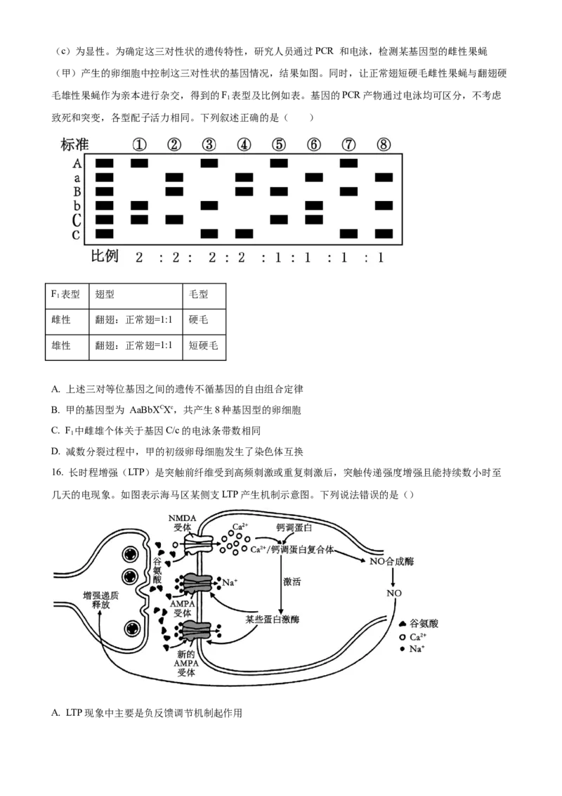 湖南省长沙市第一中学2024-2025学年高三上学期第三次月考生物试卷Word版无答案_2024-2025高三（6-6月题库）_2024年11月试卷_1117湖南省长沙市长沙一中2025届高三月考试卷（三）（全科）
