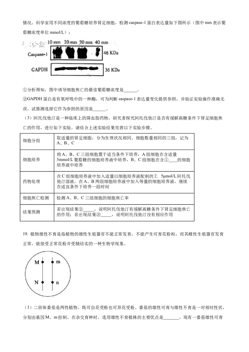 湖南省长沙市第一中学2024-2025学年高三上学期第三次月考生物试卷Word版无答案_2024-2025高三（6-6月题库）_2024年11月试卷_1117湖南省长沙市长沙一中2025届高三月考试卷（三）（全科）
