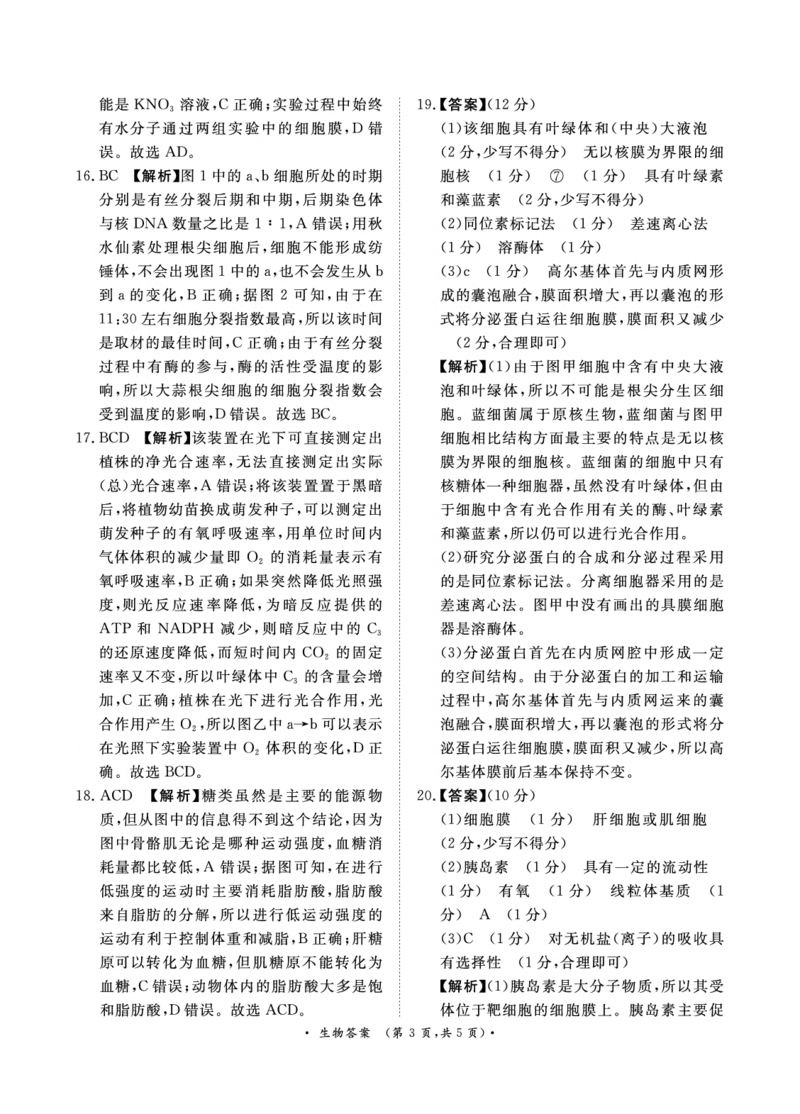 青桐鸣10月高三联考生物通用版答案_2024-2025高三（6-6月题库）_2024年10月试卷_1010河南省青桐鸣2025届高三10月大联考_河南省青桐鸣2025届高三10月大联考生物试题