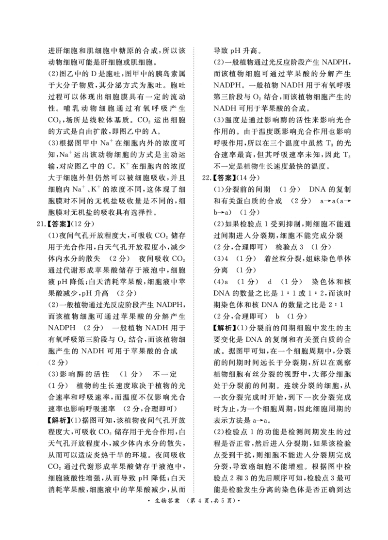 青桐鸣10月高三联考生物通用版答案_2024-2025高三（6-6月题库）_2024年10月试卷_1010河南省青桐鸣2025届高三10月大联考_河南省青桐鸣2025届高三10月大联考生物试题