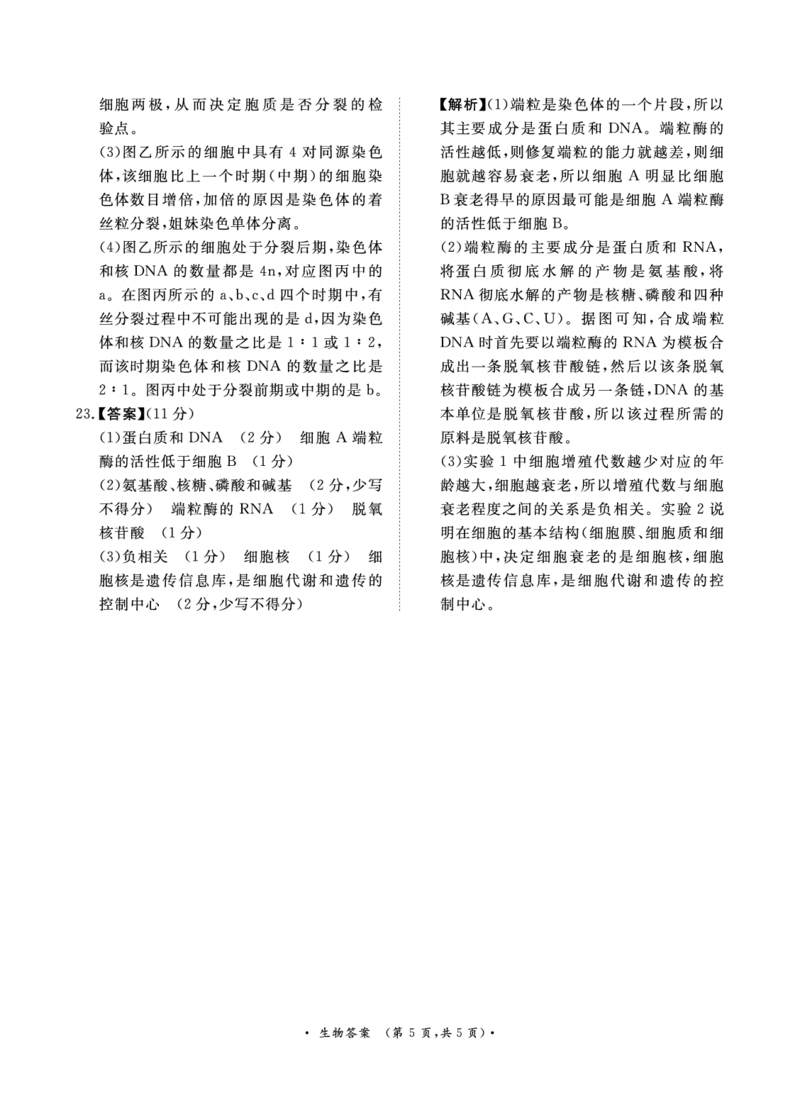 青桐鸣10月高三联考生物通用版答案_2024-2025高三（6-6月题库）_2024年10月试卷_1010河南省青桐鸣2025届高三10月大联考_河南省青桐鸣2025届高三10月大联考生物试题