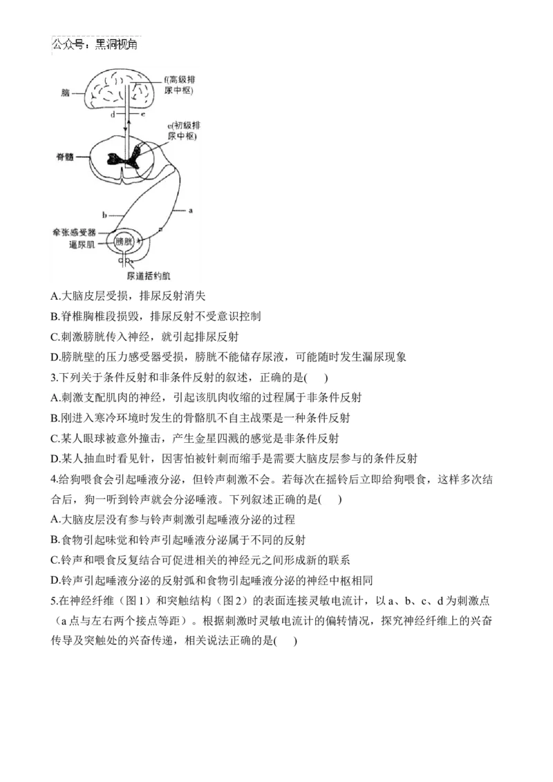 （16）神经调节&mdash;&mdash;2025届高考生物二轮复习易错重难提升学案（含解析）_2024-2025高三（6-6月题库）_2025年02月试卷_02162025届高考生物二轮复习易错重难提升（含解析）