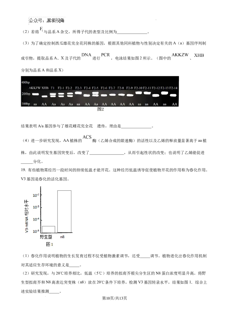 精品解析：湖南省郴州市2024&mdash;2025学年高三上学期第一次模拟考试生物试题（原卷版）_2024-2025高三（6-6月题库）_2024年10月试卷_湖南省郴州市高三上学期第一次模拟考试生物试题
