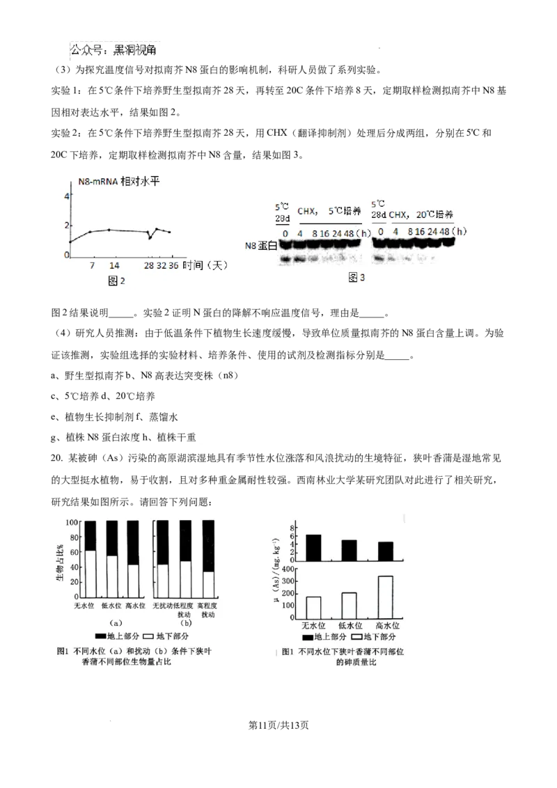 精品解析：湖南省郴州市2024&mdash;2025学年高三上学期第一次模拟考试生物试题（原卷版）_2024-2025高三（6-6月题库）_2024年10月试卷_湖南省郴州市高三上学期第一次模拟考试生物试题