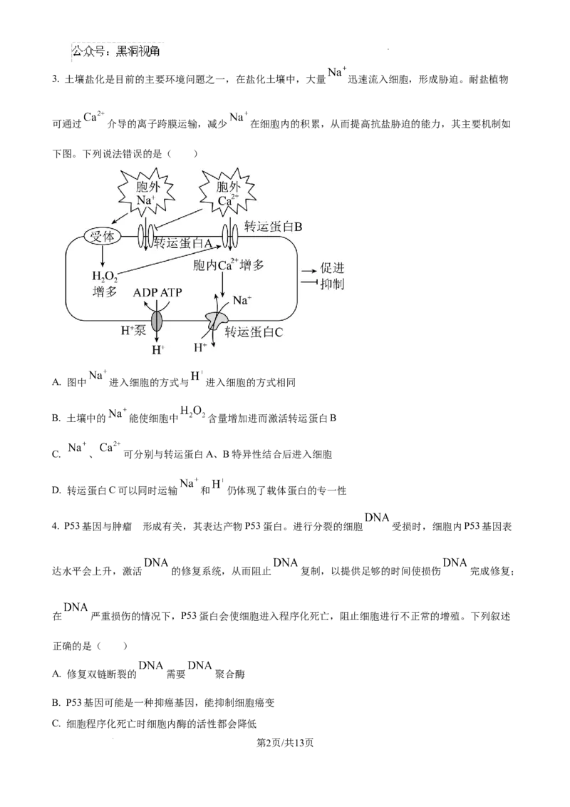 精品解析：湖南省郴州市2024&mdash;2025学年高三上学期第一次模拟考试生物试题（原卷版）_2024-2025高三（6-6月题库）_2024年10月试卷_湖南省郴州市高三上学期第一次模拟考试生物试题