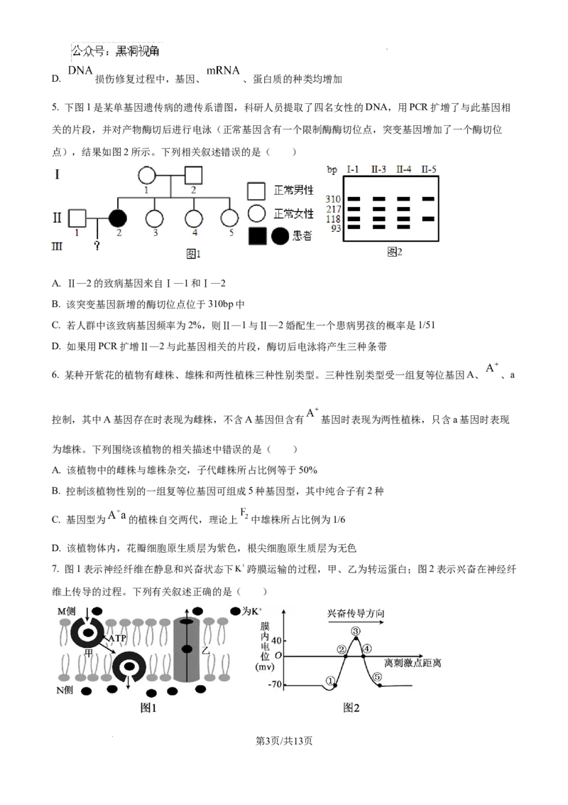 精品解析：湖南省郴州市2024&mdash;2025学年高三上学期第一次模拟考试生物试题（原卷版）_2024-2025高三（6-6月题库）_2024年10月试卷_湖南省郴州市高三上学期第一次模拟考试生物试题