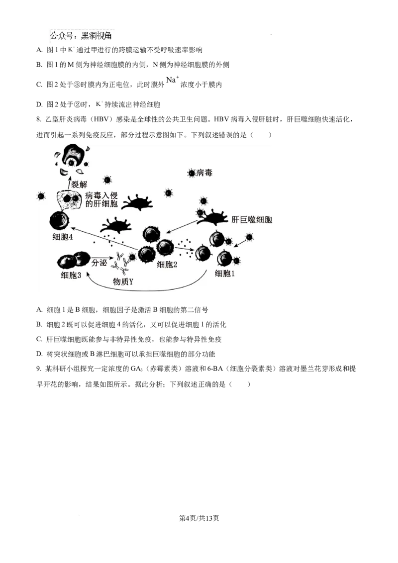 精品解析：湖南省郴州市2024&mdash;2025学年高三上学期第一次模拟考试生物试题（原卷版）_2024-2025高三（6-6月题库）_2024年10月试卷_湖南省郴州市高三上学期第一次模拟考试生物试题