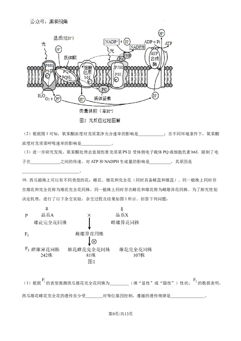 精品解析：湖南省郴州市2024&mdash;2025学年高三上学期第一次模拟考试生物试题（原卷版）_2024-2025高三（6-6月题库）_2024年10月试卷_湖南省郴州市高三上学期第一次模拟考试生物试题