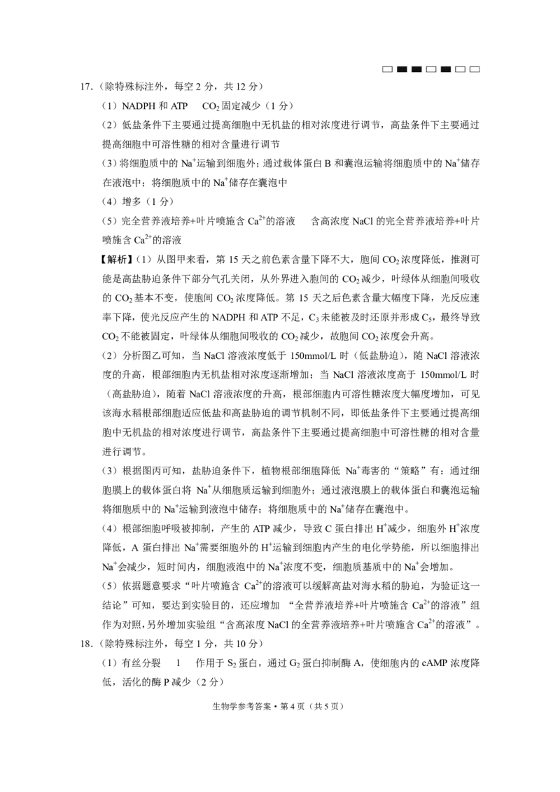 重庆巴蜀中学2025届高考适应性月考卷（二）生物答案_2024-2025高三（6-6月题库）_2024年10月试卷_1021重庆巴蜀中学2025届高考适应性月考卷（二）