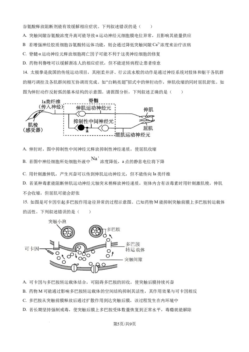 精品解析：安徽省县中联盟2025-2026学年高二上学期10月联考生物试题（原卷版）_2025年10月高二试卷_251019安徽省县中联盟2025-2026学年高二上学期10月月考