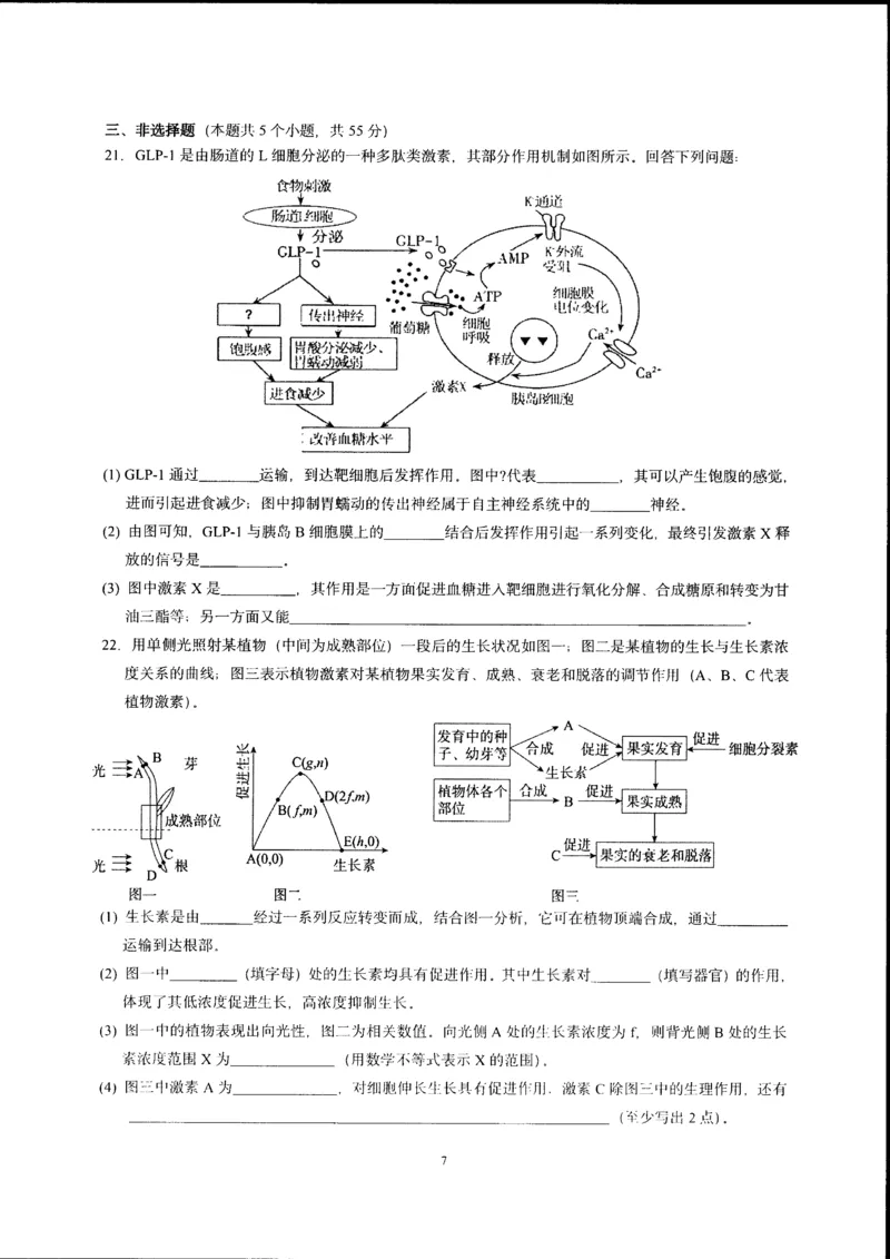 辽宁省实验中学2025-2026学年高二上学期12月月考生物试卷含答案_251219辽宁省实验中学2025-2026学年高二上学期12月月考