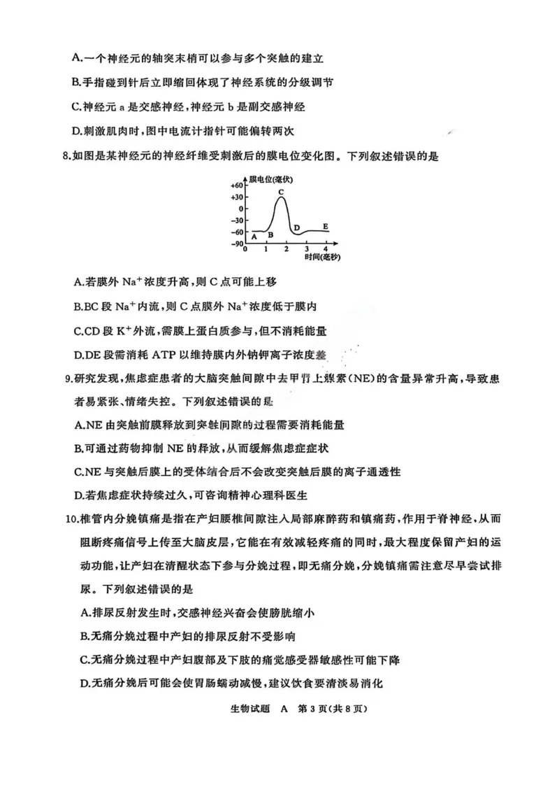 生物A试卷_2025年11月高二试卷_251127河南青铜鸣大联考2025-2026学年上学期高二期中考试_河南青铜鸣大联考2025-2026学年上学期高二期中考试生物（A）试题含答案