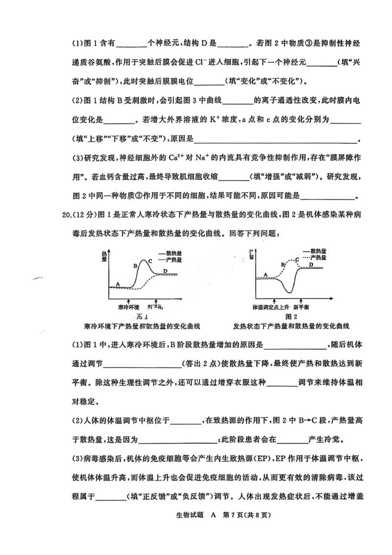 生物A试卷_2025年11月高二试卷_251127河南青铜鸣大联考2025-2026学年上学期高二期中考试_河南青铜鸣大联考2025-2026学年上学期高二期中考试生物（A）试题含答案
