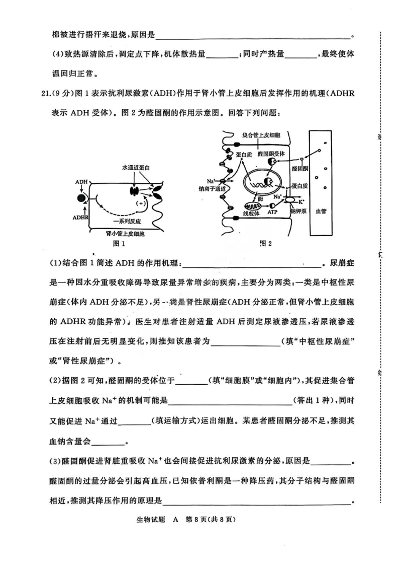 生物A试卷_2025年11月高二试卷_251127河南青铜鸣大联考2025-2026学年上学期高二期中考试_河南青铜鸣大联考2025-2026学年上学期高二期中考试生物（A）试题含答案