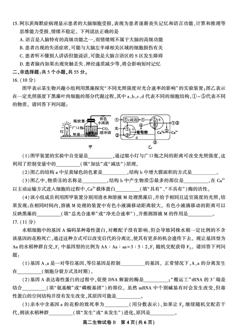 生物试题B&middot;2025年11月高二期中联考_2025年11月高二试卷_251123安徽省皖江名校联盟2025-2026学年高二上学期期中联考（全）