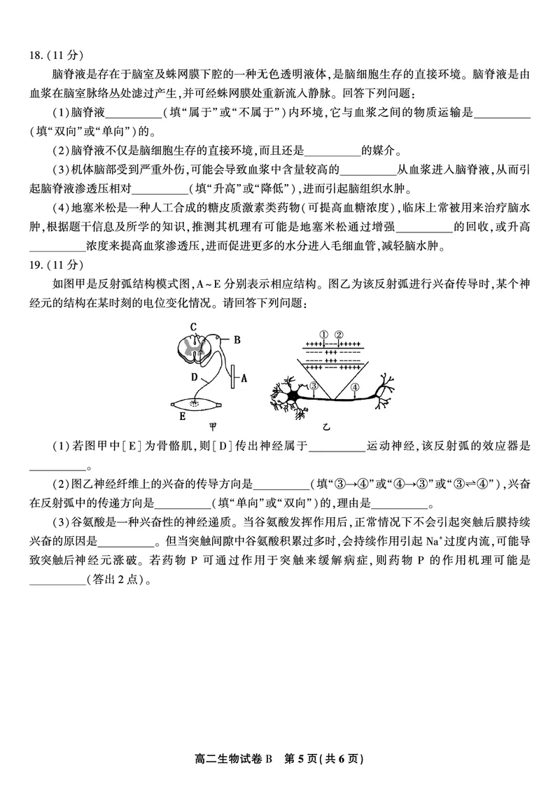 生物试题B&middot;2025年11月高二期中联考_2025年11月高二试卷_251123安徽省皖江名校联盟2025-2026学年高二上学期期中联考（全）