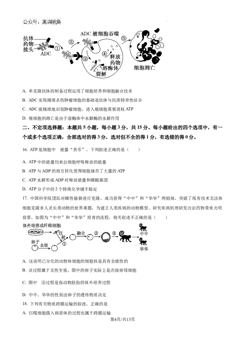 辽宁省七校协作体2024&mdash;2025学年高三上学期开学考试生物试题+答案_2024-2025高三（6-6月题库）_2024年09月试卷_0905辽宁省七校协作体2024&mdash;2025学年高三上学期开学考试