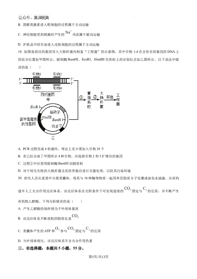 辽宁省七校协作体2024&mdash;2025学年高三上学期开学考试生物试题+答案_2024-2025高三（6-6月题库）_2024年09月试卷_0905辽宁省七校协作体2024&mdash;2025学年高三上学期开学考试