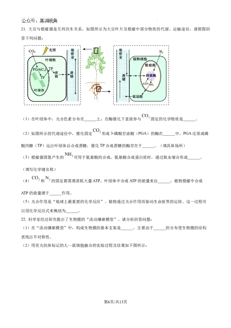 辽宁省七校协作体2024&mdash;2025学年高三上学期开学考试生物试题+答案_2024-2025高三（6-6月题库）_2024年09月试卷_0905辽宁省七校协作体2024&mdash;2025学年高三上学期开学考试