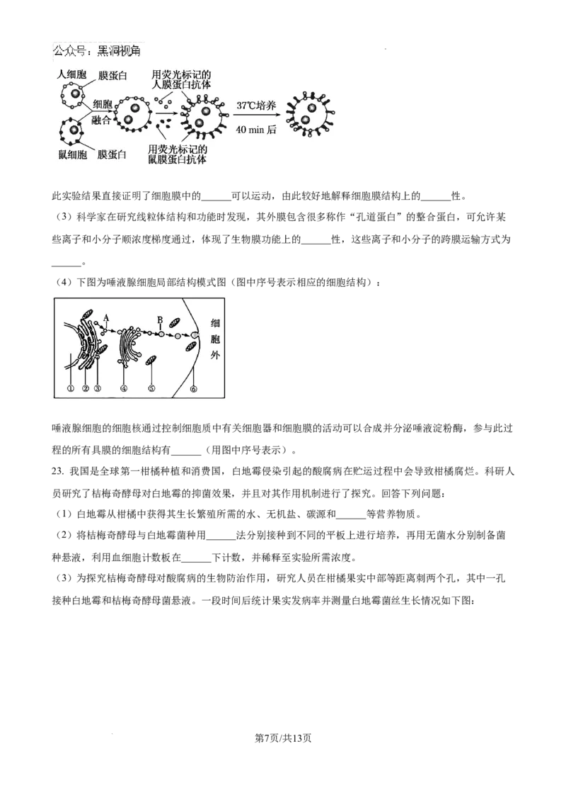 辽宁省七校协作体2024&mdash;2025学年高三上学期开学考试生物试题+答案_2024-2025高三（6-6月题库）_2024年09月试卷_0905辽宁省七校协作体2024&mdash;2025学年高三上学期开学考试