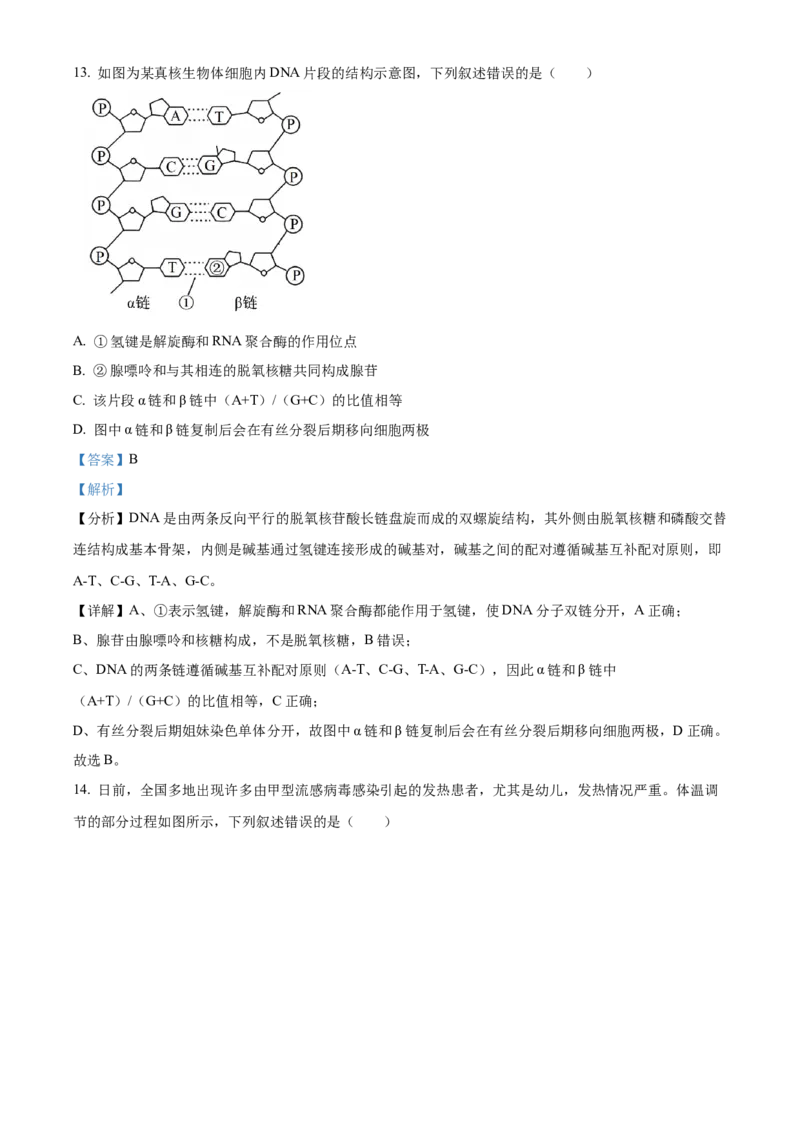 陕西省十七校联考2024-2025学年高三上学期11月期中生物试题Word版含解析_2024-2025高三（6-6月题库）_2024年11月试卷_1129陕西省十七校联考2024-2025学年高三上学期11月期中考试
