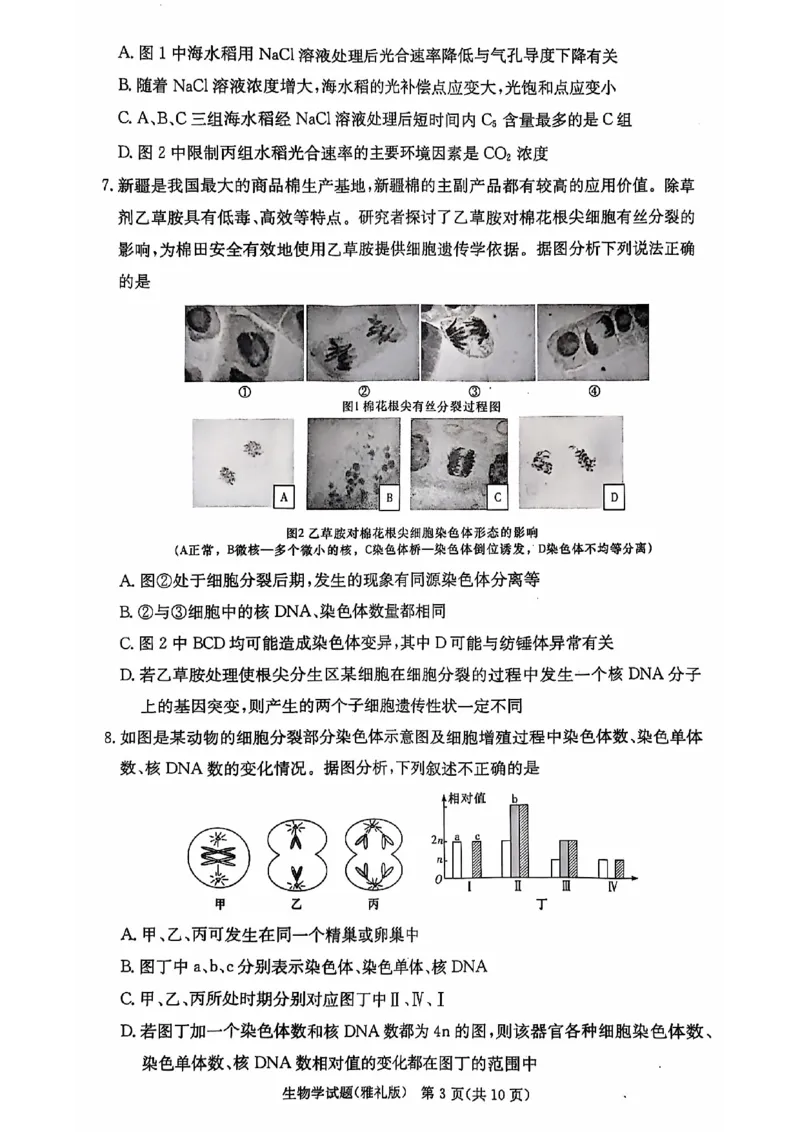 湖南省长沙市雅礼中学2024-2025学年高三上学期月考（三）生物试题_2024-2025高三（6-6月题库）_2024年11月试卷_1111湖南省长沙市雅礼中学2024-2025学年高三上学期月考（三）