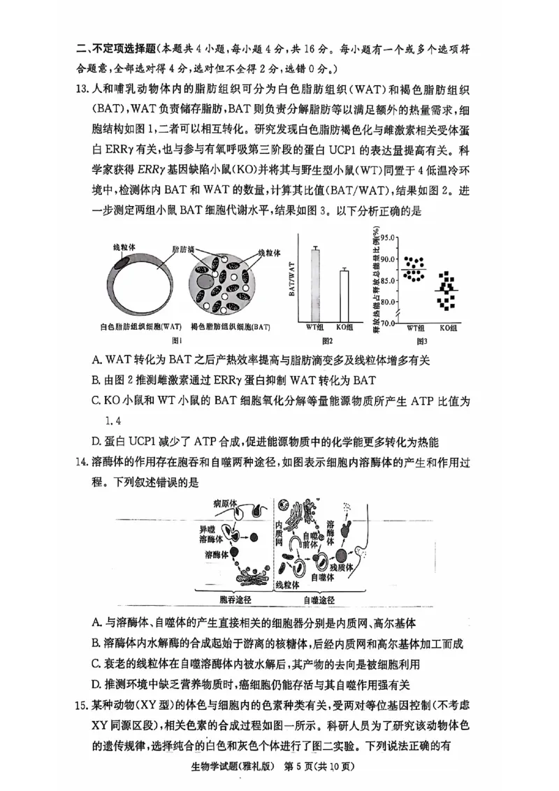 湖南省长沙市雅礼中学2024-2025学年高三上学期月考（三）生物试题_2024-2025高三（6-6月题库）_2024年11月试卷_1111湖南省长沙市雅礼中学2024-2025学年高三上学期月考（三）