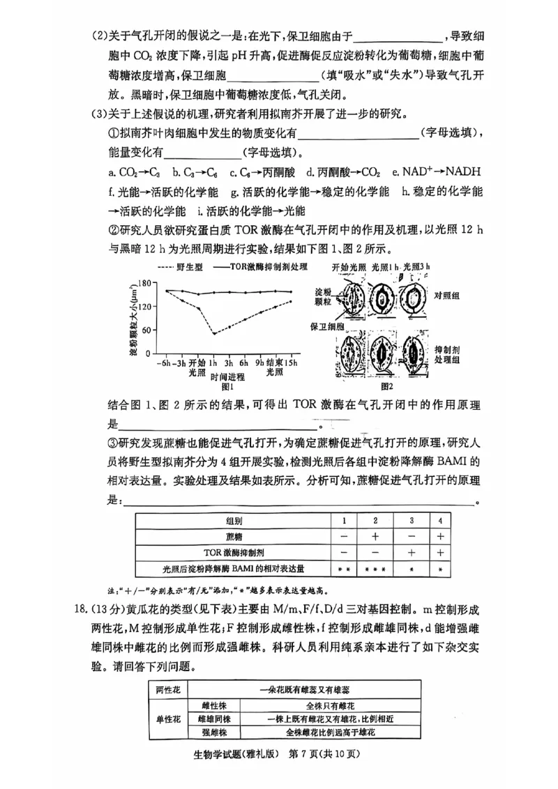 湖南省长沙市雅礼中学2024-2025学年高三上学期月考（三）生物试题_2024-2025高三（6-6月题库）_2024年11月试卷_1111湖南省长沙市雅礼中学2024-2025学年高三上学期月考（三）