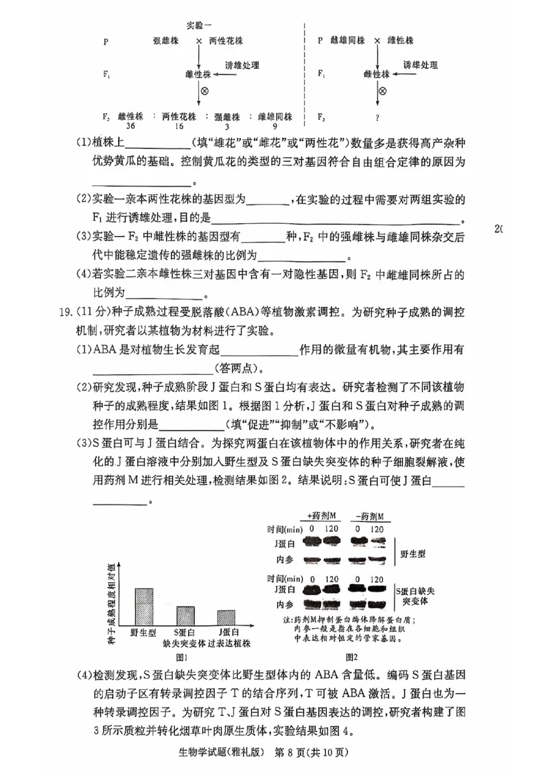 湖南省长沙市雅礼中学2024-2025学年高三上学期月考（三）生物试题_2024-2025高三（6-6月题库）_2024年11月试卷_1111湖南省长沙市雅礼中学2024-2025学年高三上学期月考（三）