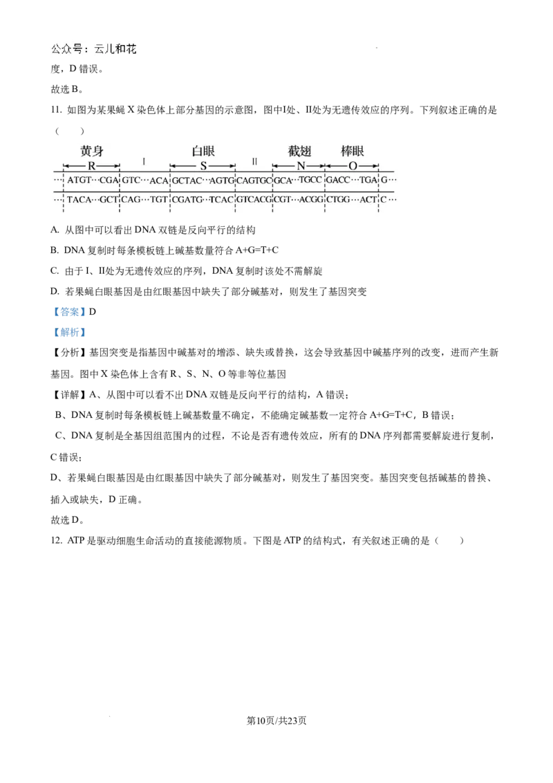 精品解析：河南省许昌市魏都区许昌高级中学2024-2025学年高二上学期开学检测生物试题（解析版）_2024-2025高二（7-7月题库）_2024年09月试卷