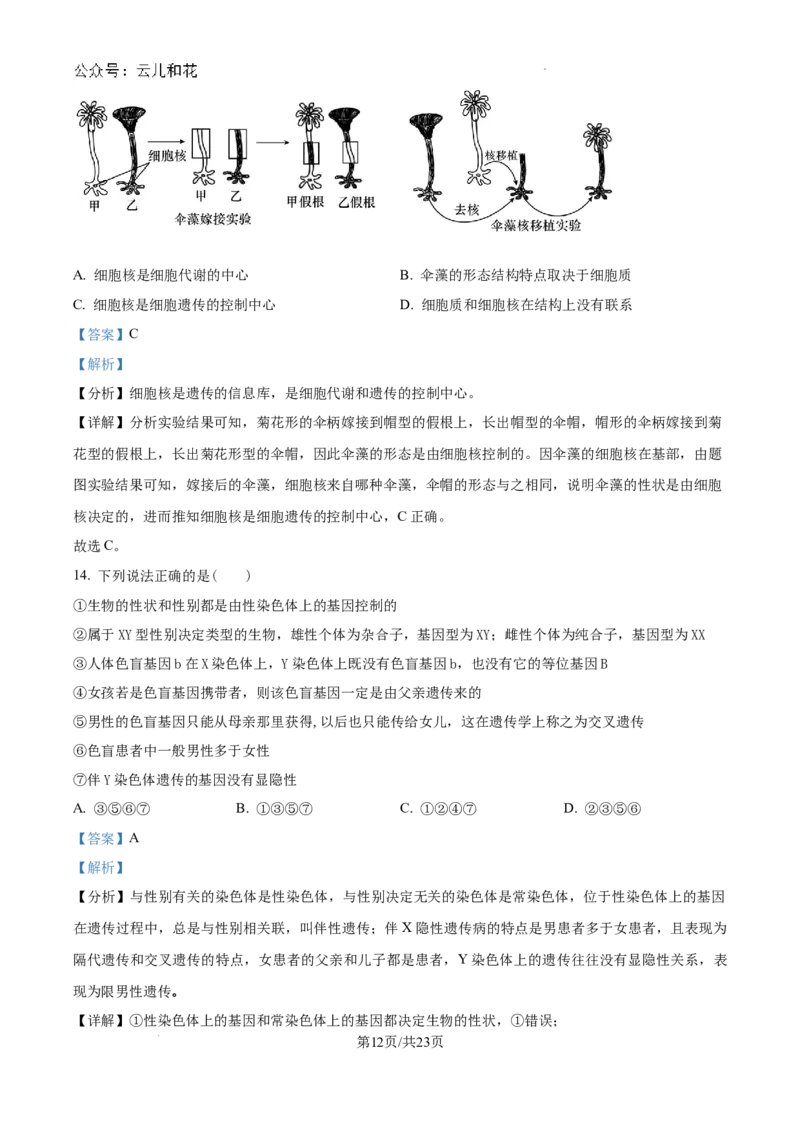 精品解析：河南省许昌市魏都区许昌高级中学2024-2025学年高二上学期开学检测生物试题（解析版）_2024-2025高二（7-7月题库）_2024年09月试卷