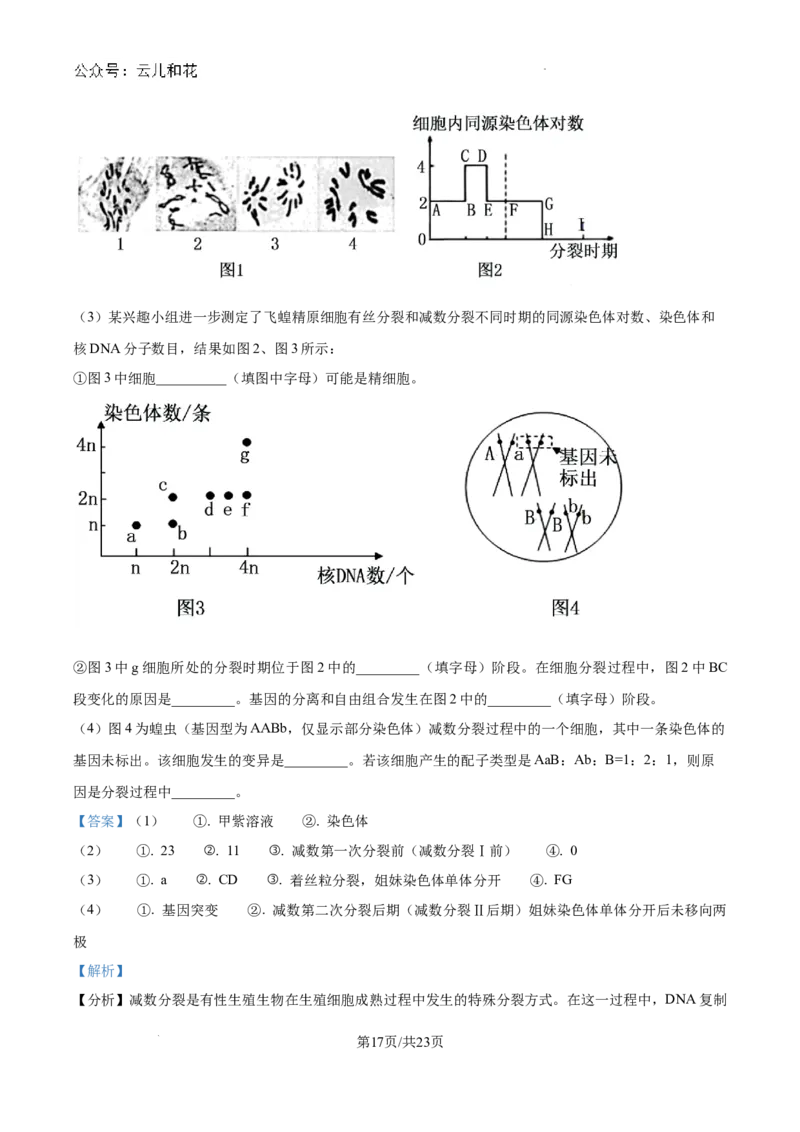 精品解析：河南省许昌市魏都区许昌高级中学2024-2025学年高二上学期开学检测生物试题（解析版）_2024-2025高二（7-7月题库）_2024年09月试卷