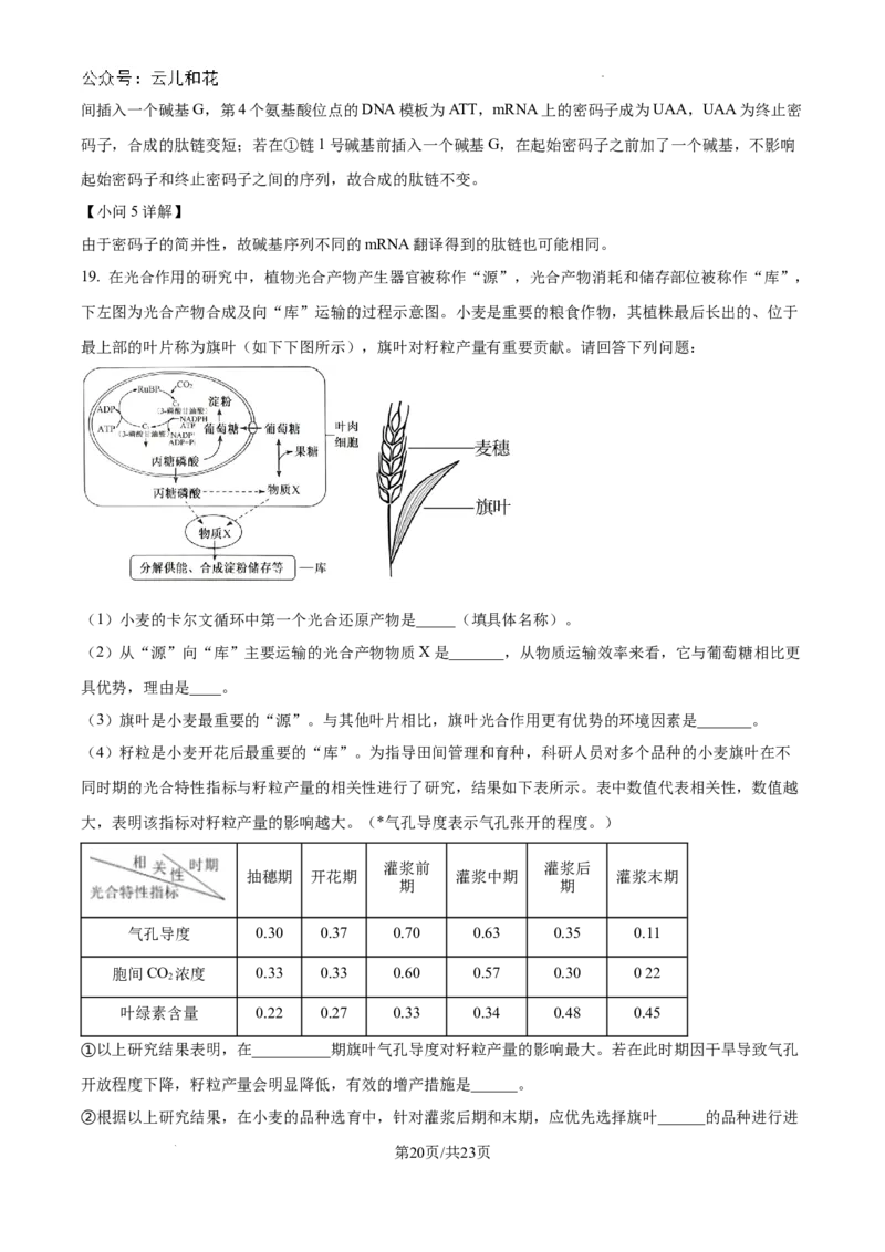 精品解析：河南省许昌市魏都区许昌高级中学2024-2025学年高二上学期开学检测生物试题（解析版）_2024-2025高二（7-7月题库）_2024年09月试卷