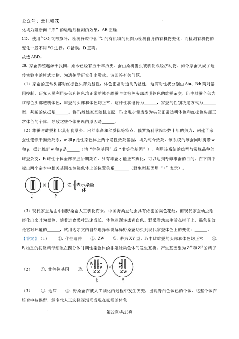 精品解析：河南省许昌市魏都区许昌高级中学2024-2025学年高二上学期开学检测生物试题（解析版）_2024-2025高二（7-7月题库）_2024年09月试卷