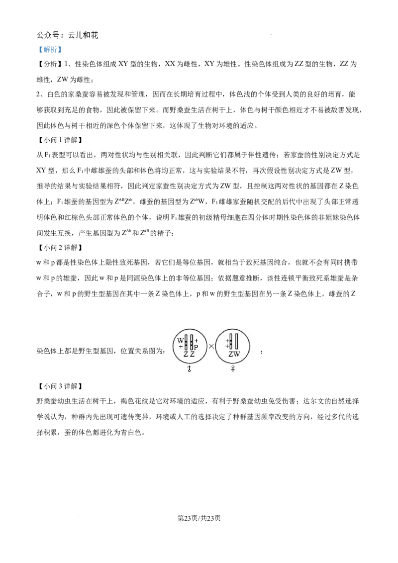 精品解析：河南省许昌市魏都区许昌高级中学2024-2025学年高二上学期开学检测生物试题（解析版）_2024-2025高二（7-7月题库）_2024年09月试卷