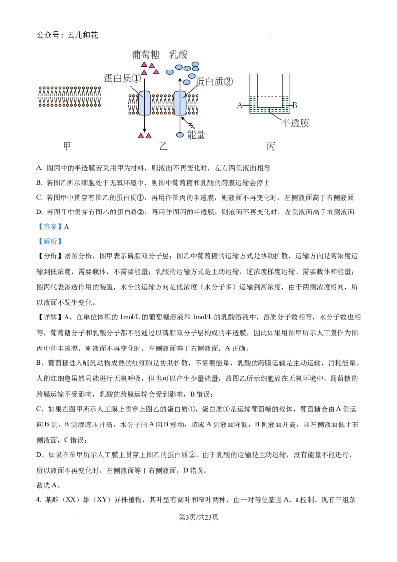 精品解析：河南省许昌市魏都区许昌高级中学2024-2025学年高二上学期开学检测生物试题（解析版）_2024-2025高二（7-7月题库）_2024年09月试卷