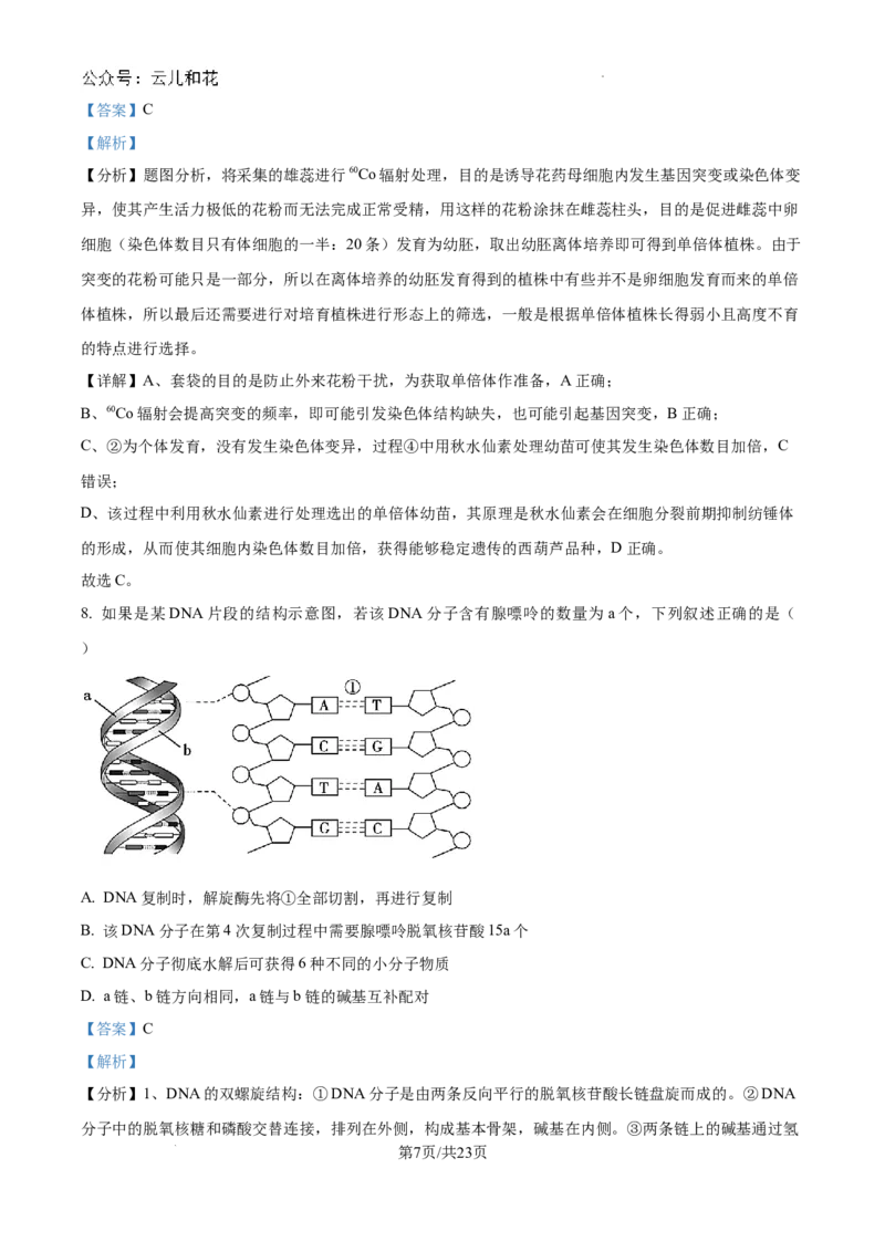 精品解析：河南省许昌市魏都区许昌高级中学2024-2025学年高二上学期开学检测生物试题（解析版）_2024-2025高二（7-7月题库）_2024年09月试卷