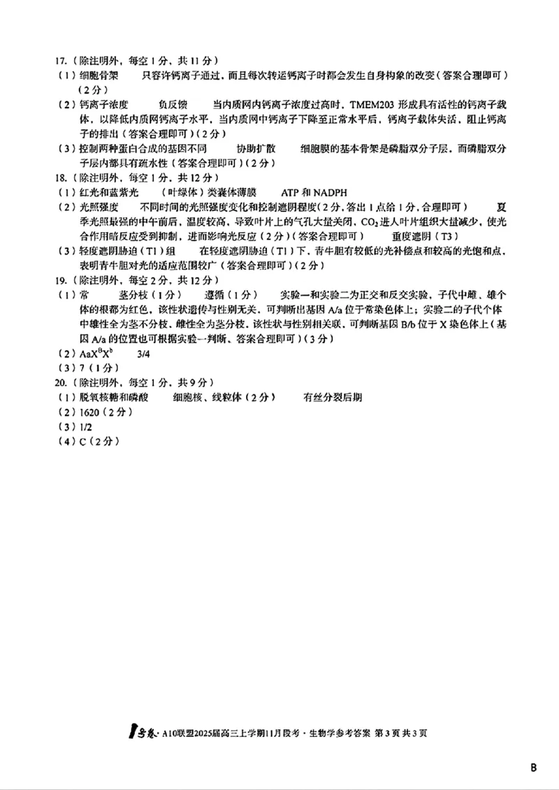 生物参考答案B_2024-2025高三（6-6月题库）_2024年11月试卷_1116安徽A10联盟2025届高三上学期11月段考（全科）_安徽A10联盟2025届高三上学期11月段考生物