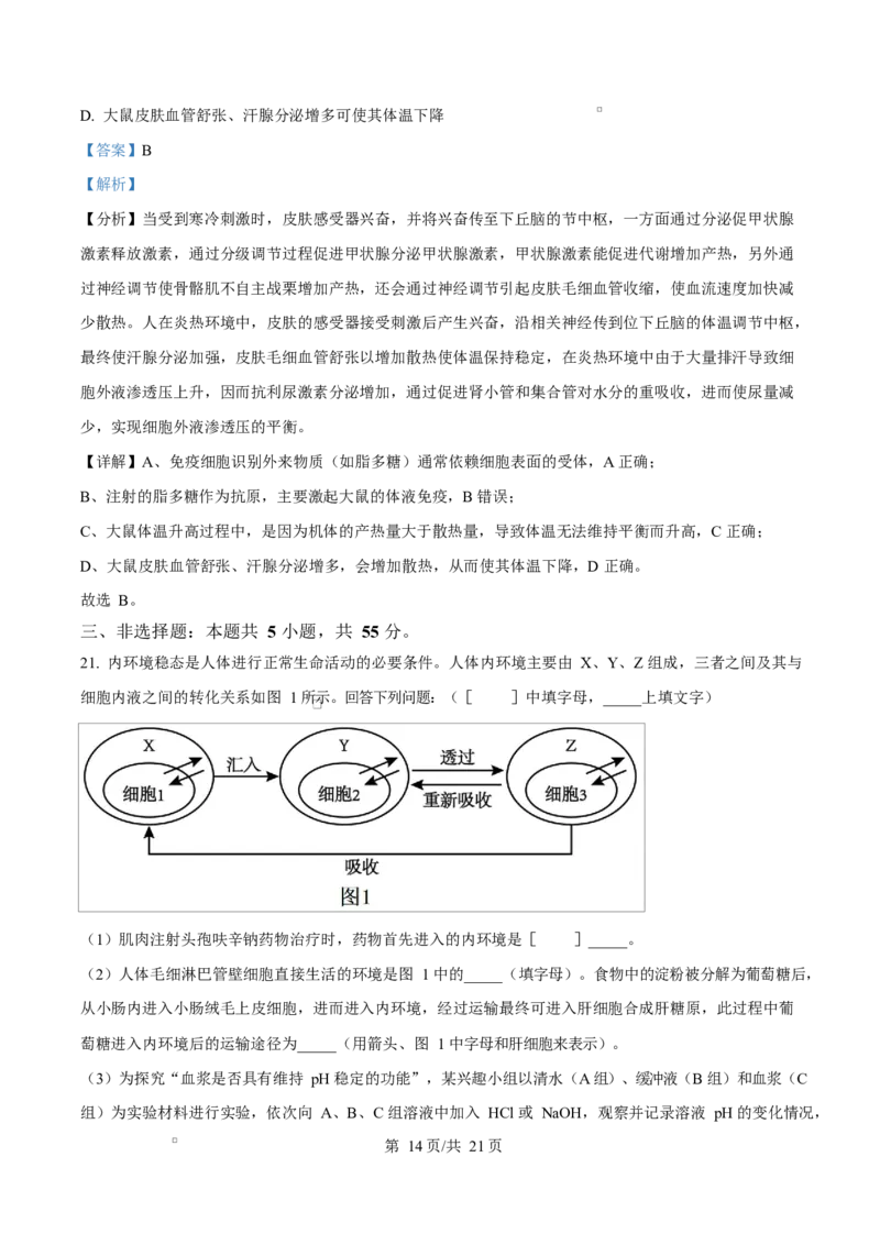 黑龙江省齐齐哈尔市六校联谊2025-2026学年高二上学期11月期中生物试题Word版含解析_2025年11月高二试卷_251113黑龙江省齐齐哈尔六校联谊2025-2026学年高二上学期11月期中考试（全）