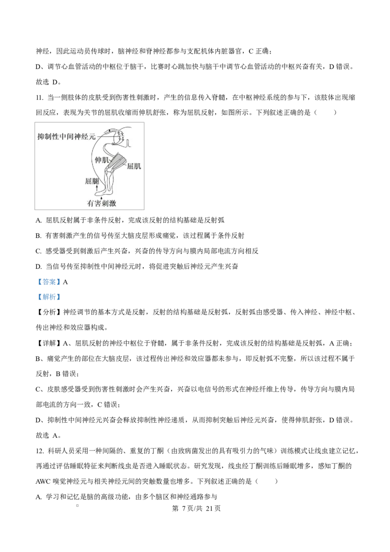黑龙江省齐齐哈尔市六校联谊2025-2026学年高二上学期11月期中生物试题Word版含解析_2025年11月高二试卷_251113黑龙江省齐齐哈尔六校联谊2025-2026学年高二上学期11月期中考试（全）