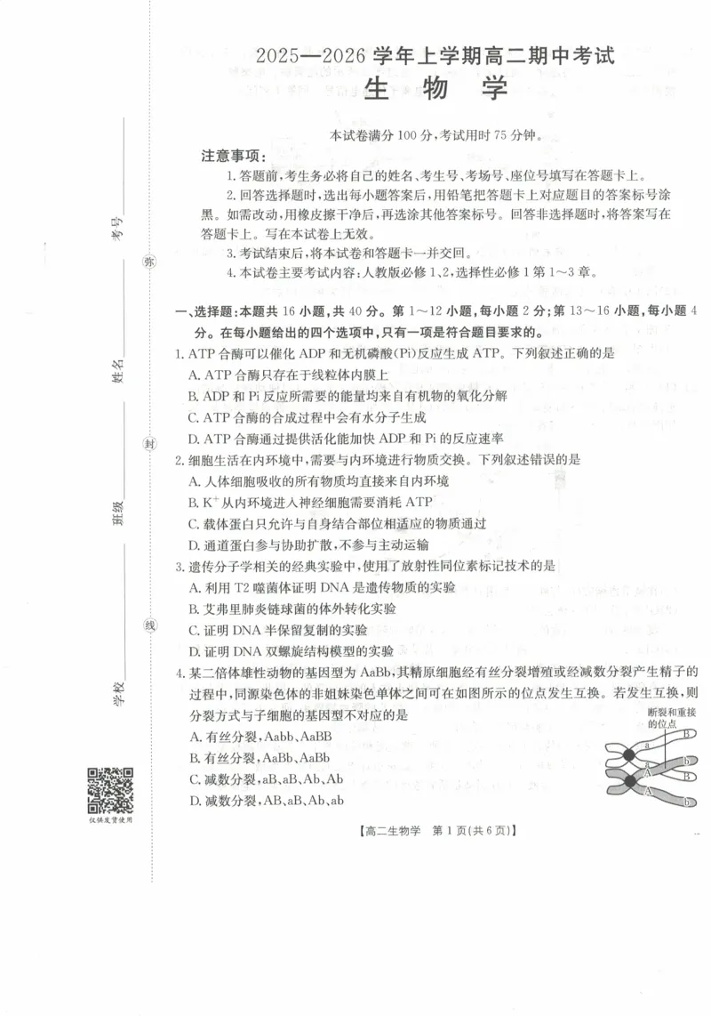 高二生物试卷_2025年11月高二试卷_251118金太阳&middot;广西省2025&mdash;2026学年上学期高二期中考试（26-125B）（全）_广西省多校2025&mdash;2026学年上学期高二期中考试生物