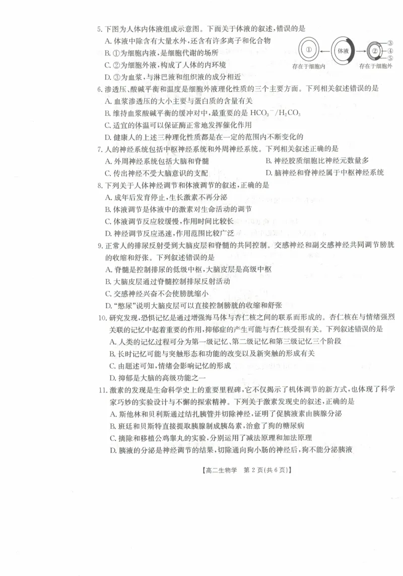 高二生物试卷_2025年11月高二试卷_251118金太阳&middot;广西省2025&mdash;2026学年上学期高二期中考试（26-125B）（全）_广西省多校2025&mdash;2026学年上学期高二期中考试生物