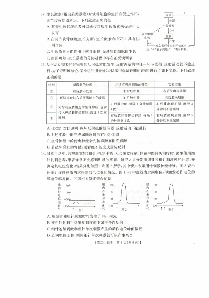 高二生物试卷_2025年11月高二试卷_251118金太阳&middot;广西省2025&mdash;2026学年上学期高二期中考试（26-125B）（全）_广西省多校2025&mdash;2026学年上学期高二期中考试生物